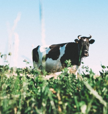 Agrarisch bedrijf wasoplossing