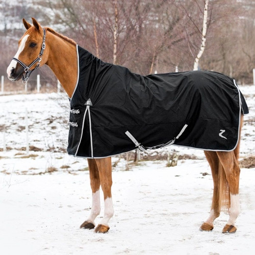 Paardendekenwasserij