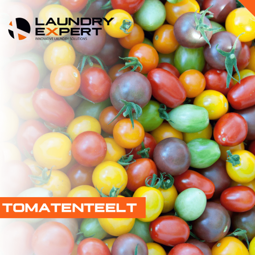 agrarisch-glastuinbouw-tomatenteelt-laundry-expert-website