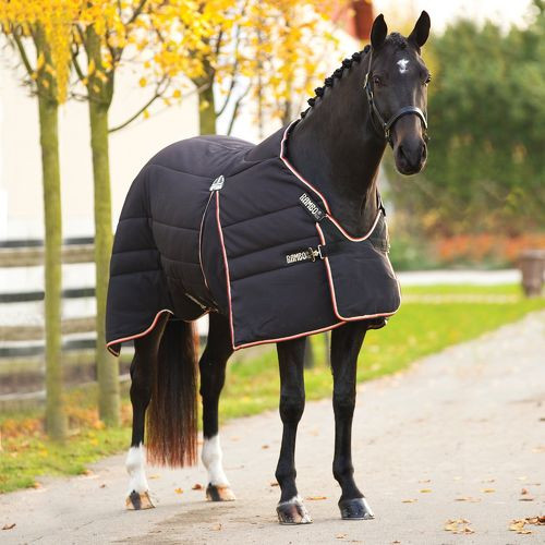 rambo-optimo-stable-heavy-tp_1945250225889347973f